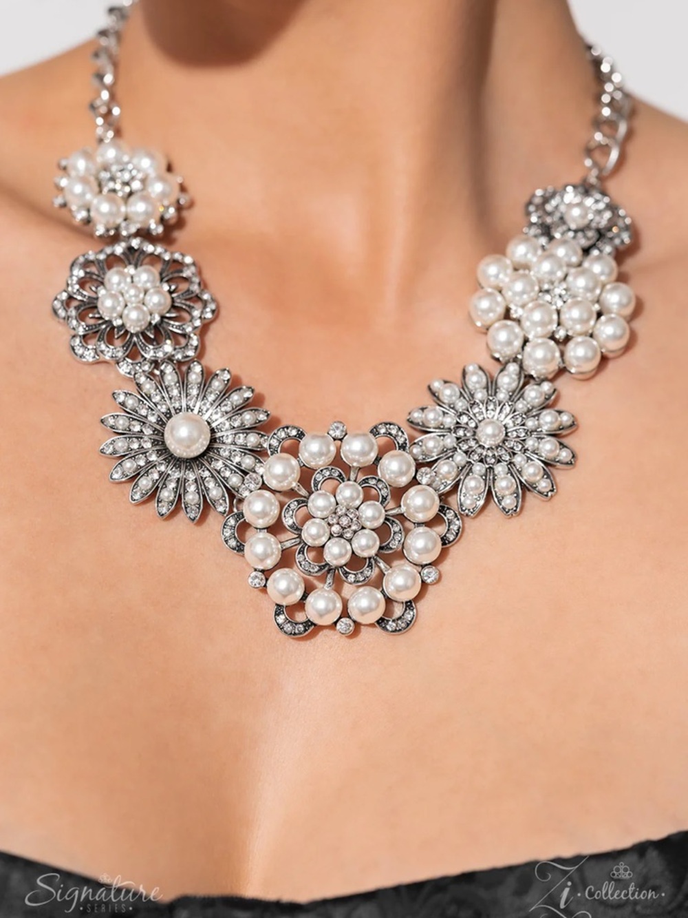 The Raven, Paparazzi Zi Collection Silver-Tone Statement Necklace with earrings.